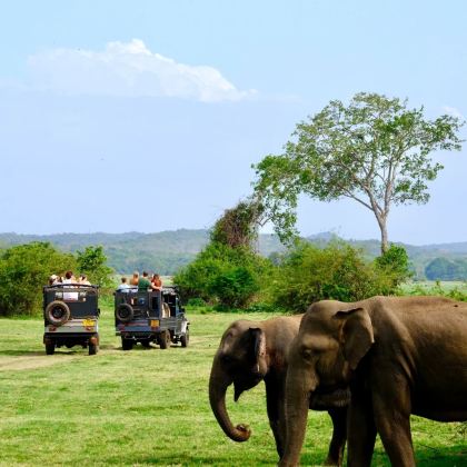 斯里兰卡科伦坡+锡吉里耶+康提+加勒6日5晚跟团游