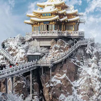 河南洛阳+老君山景区+龙潭大峡谷4日3晚私家团