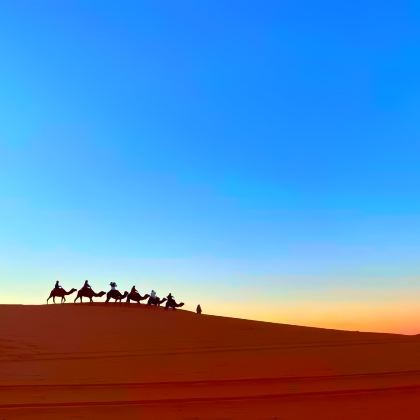 摩洛哥+突尼斯13日跟团游