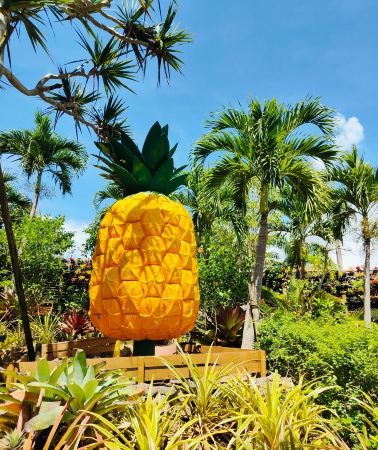 4D3N • Tropical Okinawa Highlights: Blue Ocean Views, Ryukyu Heritage, Marine Wonders and Relaxing Island Moments