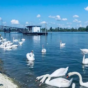 塞尔维亚+黑山+克罗地亚+波黑15日14晚私家团