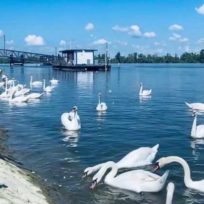 塞尔维亚+波黑+克罗地亚+黑山15日14晚私家团