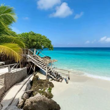 马达加斯加8日7晚私家团