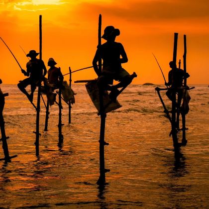 斯里兰卡7日6晚拼小团