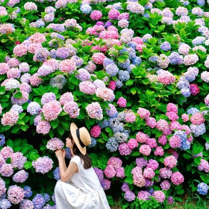 日本大阪+京都+奈良市4日3晚私家团