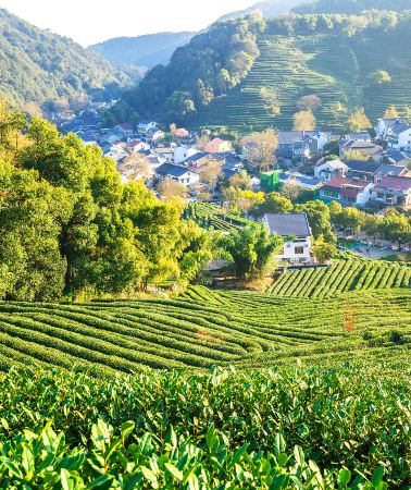8D7N • Snowy Jiangnan + Disneyland Winter Family Fun + Puyuan Fashion Resort