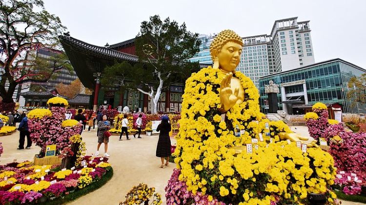 3-Day 3D Private Seoul Highlight tours with DMZ & Korean Folk Village