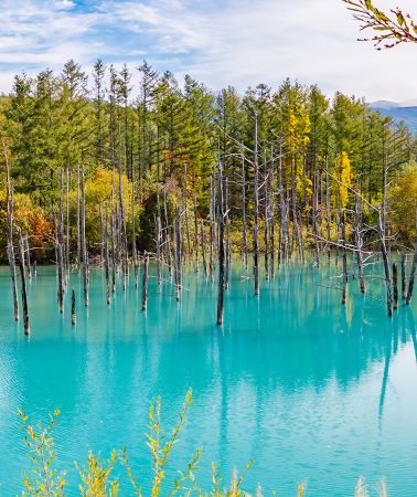 8D7N • Hokkaido Panoramic In-Depth Tour: Noboribetsu Onsen + Hakodate Night View + Furano-Biei Countryside + Otaru Romantic Harbour + Sapporo