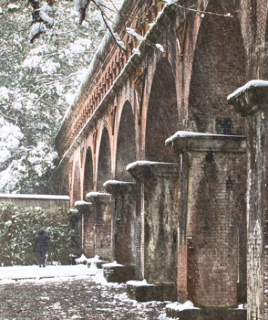 6 วัน 4 คืน • OSAKA SHIRAKAWAGO FUJI TOKYO WINTER โดยสายการบินไทย [TG]