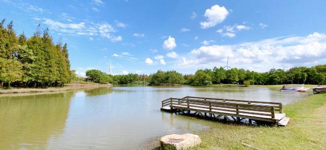 上海滨海森林公园旅行图片 8