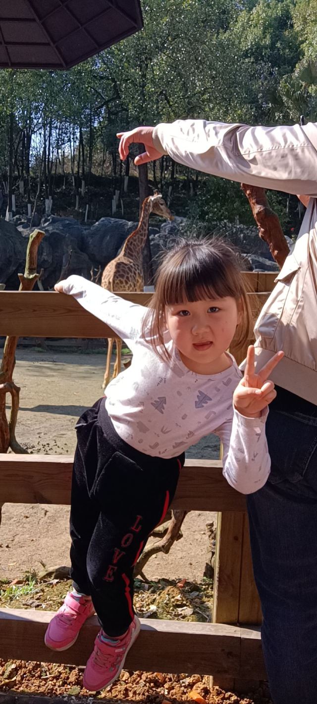 怀化野生动植物园旅行图片 1