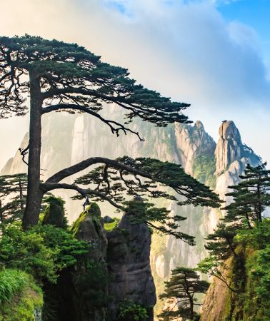 5D4N • Hangzhou + Huangshan City: No Shopping Stops & One Vehicle Throughout Enjoy the magnificent clouds and strange rocks, and embrace the sunrise and sunset.
