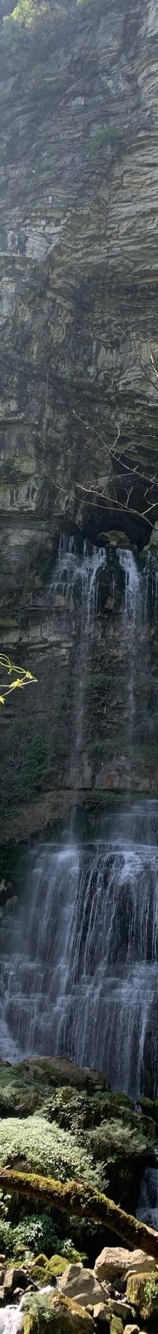 鹿院坪-恩施市-松星蕊