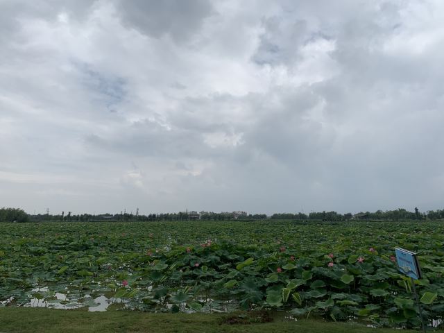 麒麟水乡旅行图片 5