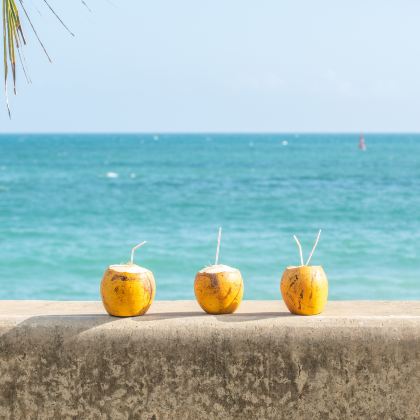 户外活动•海南海口文昌万宁6日寒假亲子营•15km亲子骑行+日月湾冲浪+河道桨板+雨林溯溪+赶海捞螃蟹+制作兴隆咖啡&潭门渔港+南海博物馆【五钻酒店+海鲜市场采购+亲子研学领队+摄影师跟拍】