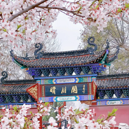 武汉+东湖+黄鹤楼3日2晚跟团游