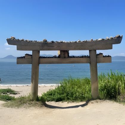 日本四国+松山+西条市+高知市+土佐清水市+宇和岛市7日6晚私家团