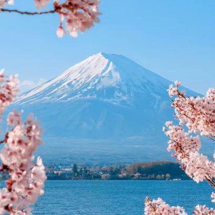 日本大阪+奈良+京都+东京7日6晚跟团游