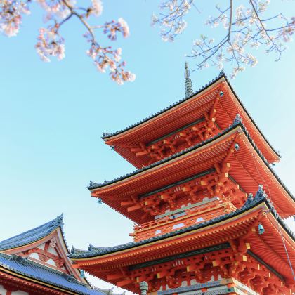 日本大阪+京都+神户+有马温泉乡7日6晚私家团