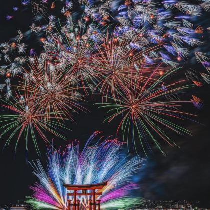 日本东京+日光市5日4晚私家团