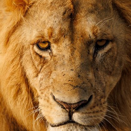 坦桑尼亚7日6晚私家团