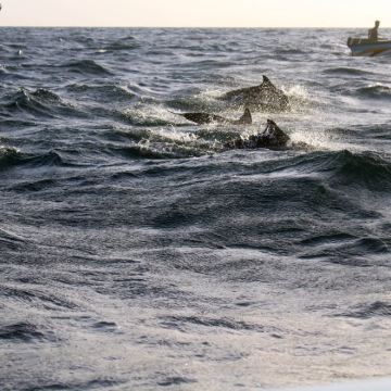 斯里兰卡科伦坡+贾夫纳+亭可马里+丹布勒+努沃勒埃利耶+美蕊沙+加勒14日13晚私家团