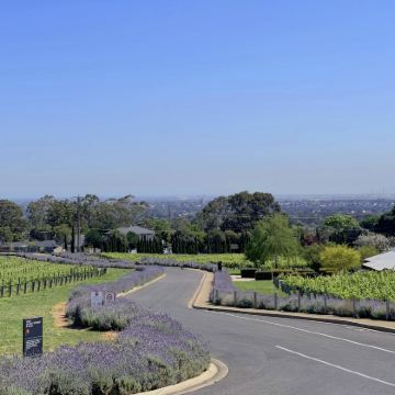 澳大利亚阿德莱德+阿德莱德动物园+阿德莱德中央市场+奔富玛吉尔酒庄+汉多夫德国村+澎湃粉红湖+维克多港7日6晚私家团