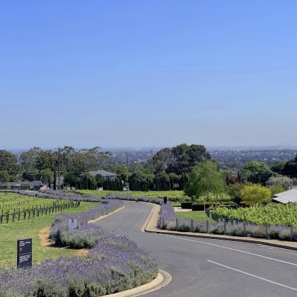 澳大利亚阿德莱德+袋鼠岛袋鼠岛野生动物园+洛夫缔山顶6日5晚私家团