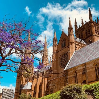 澳大利亚悉尼10日7晚私家团