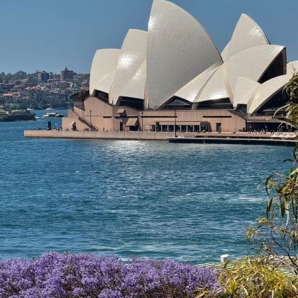 澳大利亚11日9晚拼小团