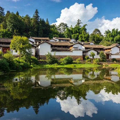 普洱+澜沧景迈千年万亩古茶园3日2晚拼小团