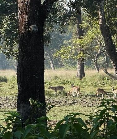 8D7N • Nepal: Kathmandu, Chitwan & Pokhara 8 Days Tour - Private / Group