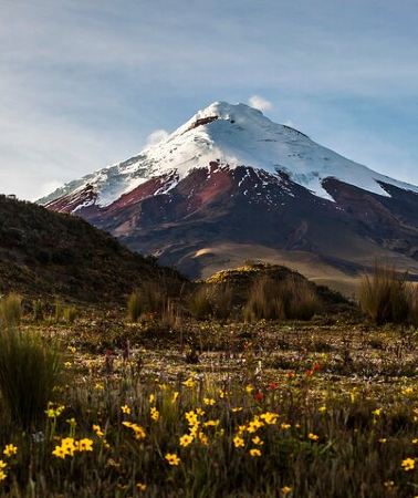 15D14N • 15 Day Ecuador Complete Tour Andes Amazon and Galapagos