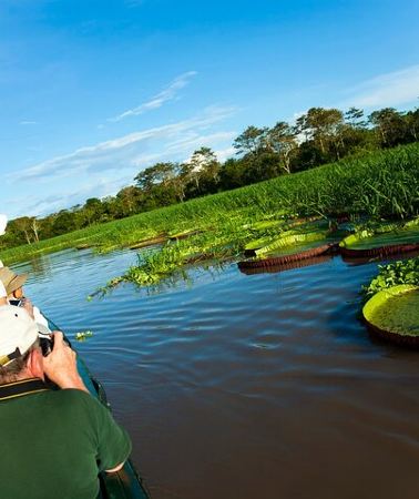 3D2N • Iquitos: 3 Days and 2 Nights Amazon Jungle Tour