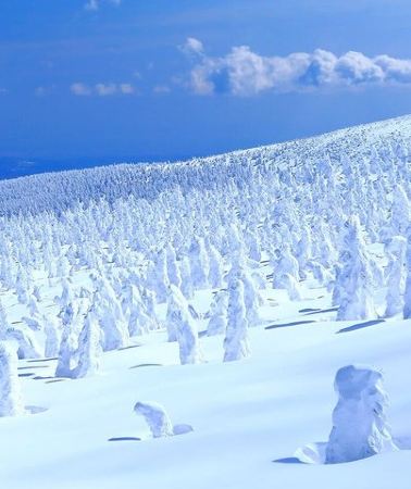 2D1N • 2-Day Tohoku Tour Zao Snow Monsters and Ginzan Onsen