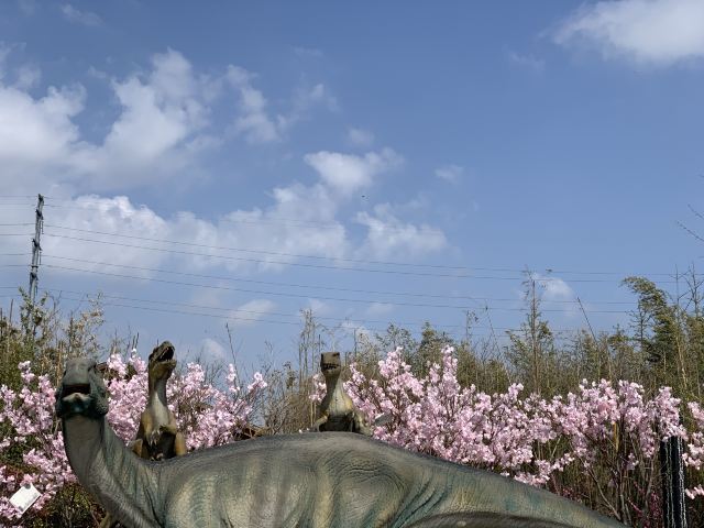 青岛西海岸生态观光园旅行图片 6