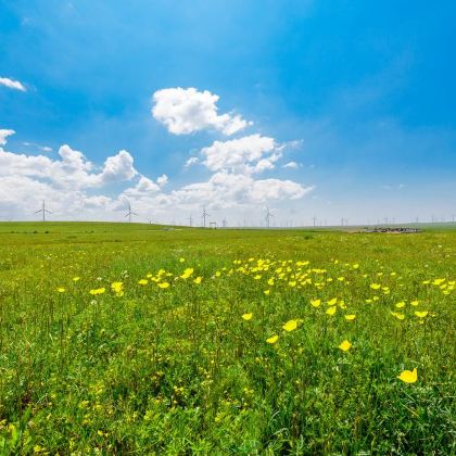 内蒙古呼和浩特+希拉穆仁草原+响沙湾6日5晚私家团