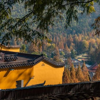 九华山3日私家团