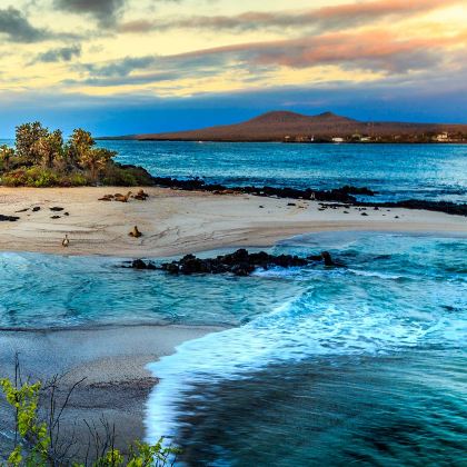 加拉帕戈斯省14日跟团游