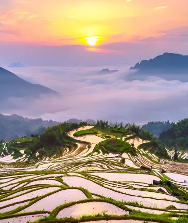 11D10N • China + Shanghai + Shaoxing + Jinhua + Jinyun + Xianju + Tiantai County + Suzhou + Wuxi