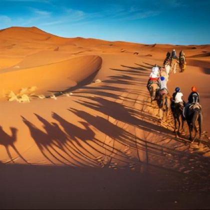 摩洛哥+突尼斯13日跟团游