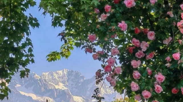 10-day 9-night · Private Tour · Kunming + Dali + Lijiang + Shangri-La· Dali, Shangri-La, Lijiang, Dukezong, Yulong Snow Mountain, Songzanlin Monastery, Tiger Leaping Gorge