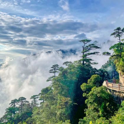 莽山旅游区(西门)+高椅岭旅游区+东江湖旅游区4日3晚自由行