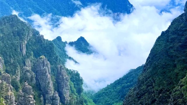 神农架、宜昌+2