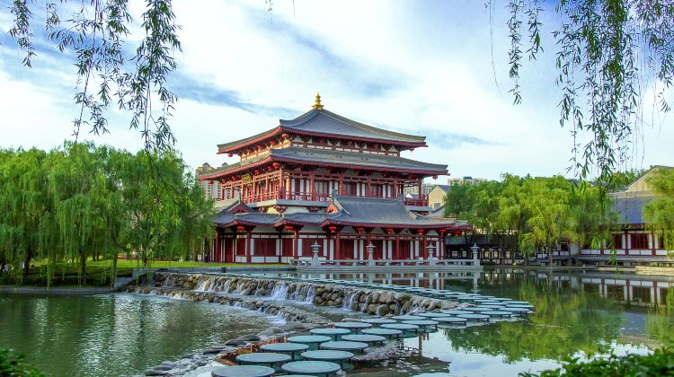 5D4N · Group Tours · Xi'an + Terracotta Army + Xi'an City Wall + Big Wild Goose Pagoda , mold your own clay warrior and step into the grandeur of Tang-era court life and Chang’an streets.