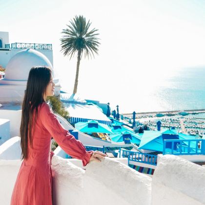 突尼斯+撒哈拉沙漠+杜加古城+凯鲁万+托泽尔+苏斯7日6晚跟团游