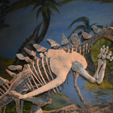 成都大熊猫繁育研究基地+乐山大佛+蜀南竹海+自贡恐龙博物馆+燊海井+三星堆博物馆6日5晚私家团