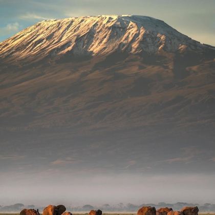 肯尼亚+坦桑尼亚9日7晚拼小团