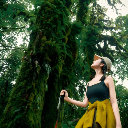 云南腾冲+芒市5日4晚私家团