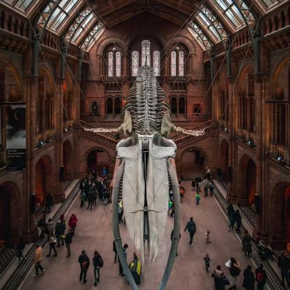 英国伦敦+温莎7日6晚拼小团